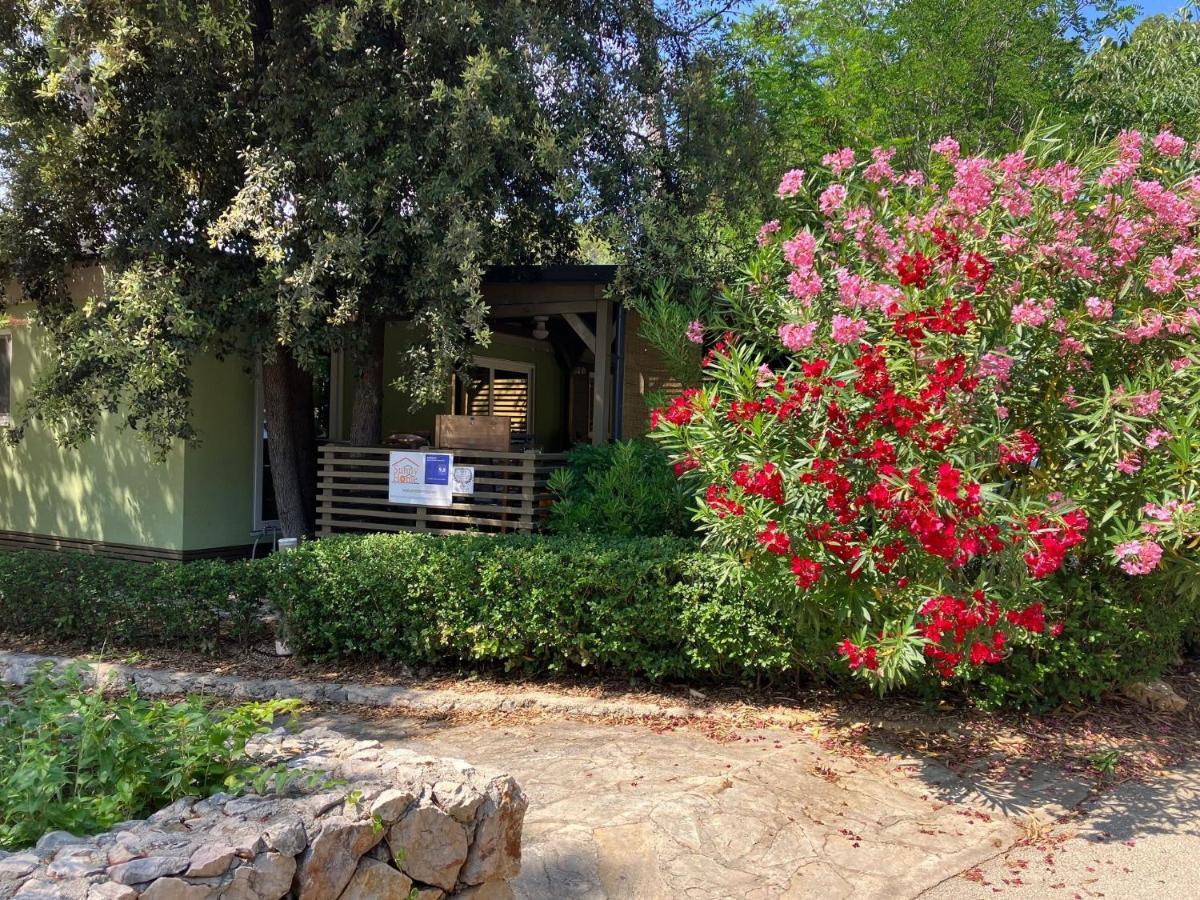 Sunny Soline 4* Biograd Na Moru