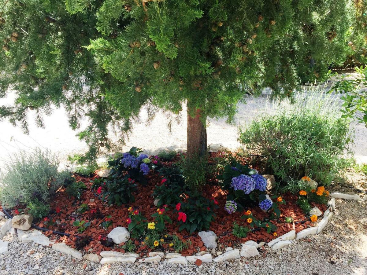Sunny Soline Biograd Na Moru