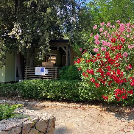 Sunny Home Soline Biograd Na Moru Exterior photo