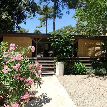 Sunny Home Soline Biograd Na Moru Exterior photo